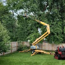 Artificial Turf Installation in Freeman, SD